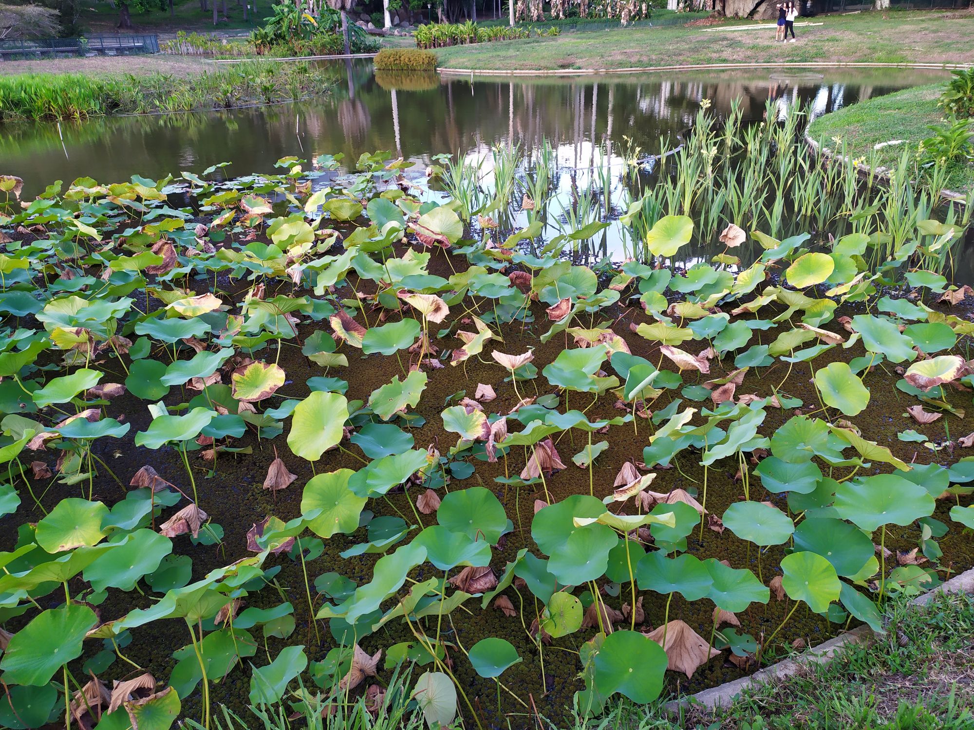 Lugar de los duendes